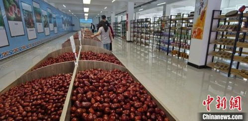 京津冀聯(lián)接?xùn)|北地區(qū)規(guī)模最大農(nóng)產(chǎn)品冷鏈物流產(chǎn)業(yè)園開園 打通國際物流新通道