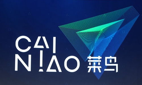 小商品出海自由行 菜鳥國際開通泰國海運(yùn)電商專線，重塑國際物流新格局
